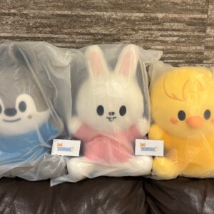SKZOO PLUSH HUG ME Ver. – SKZOO Everywhere All Around The World