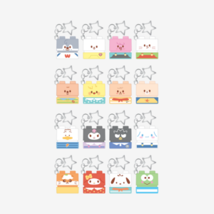 SECRET BLOCK STAMP - SKZOO X SANRIO CHARACTERS (RANDOM 1/16)