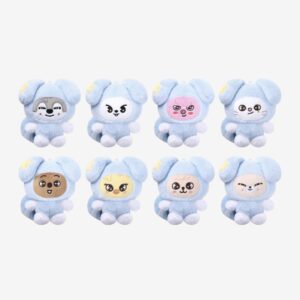SKZOO PLUSH in TASY - RUN IT (8 versiones)