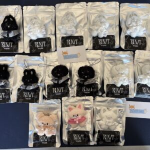SKZOO SECRET PLUSH MICRO Ver. – RUN IT (ORIGINAL, YIN & Yang Ver.)
