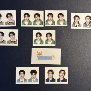 THIS & THAT (& Ver. ID photos)