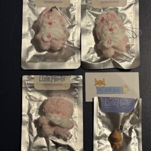 SKZOO SECRET PLUSH MICRO Ver. – STAY in Our Little House (re-stock)