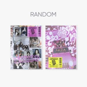 The ReVe Festival 2022 - Birthday (Photo Book Ver.)